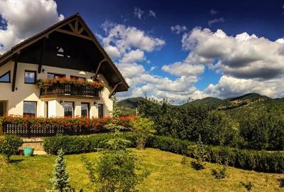 Vanzare domeniu deosebit, vila, anexe si teren cu livada de meri sub padure - 1