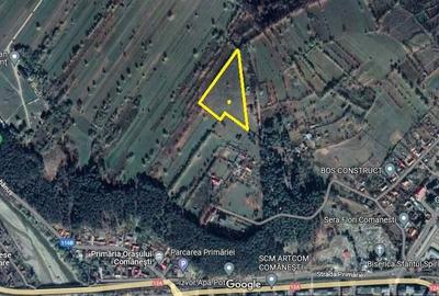 Teren de 13000 mp, în Lunca Asău - 3
