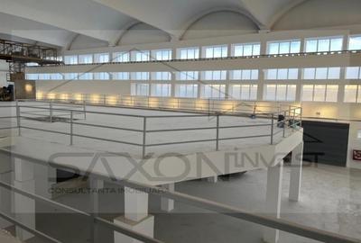 Sos Giurgiului - Jilava, 5400 mp pod  rulant - 4