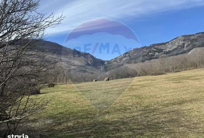 Teren de 1271 mp, în Livezile - 5