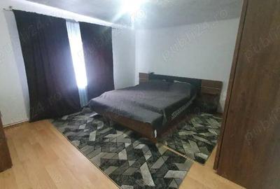 Casă cu Teren 3000 Mp în Dăbâca - 2