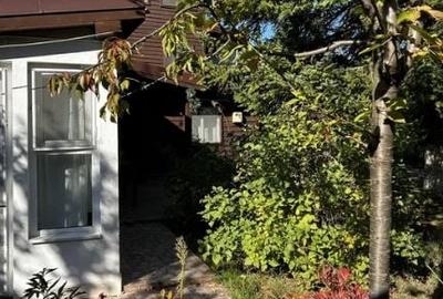 Lacul Snagov,3 camere,suprafata 1170mp,gaze, electricitate, apă, centrala termic - 5