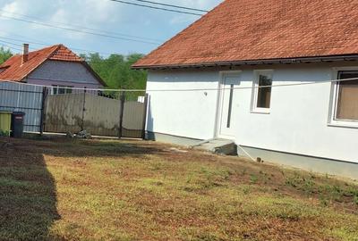 Casă cu 4 camere cu Teren 4316 Mp în Breazova - 7