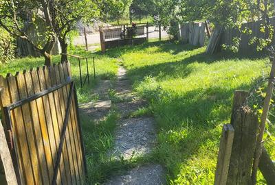 Vand casa Cucuteni - 5