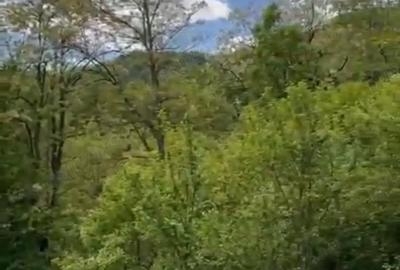 Teren de 2050 mp, în Bărbătești - 8