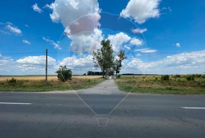 Teren agricol extravilan de 4350 mp, în Vasilați - 5