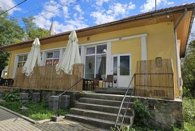 Vanzare spa?iu comercial satesc - 3