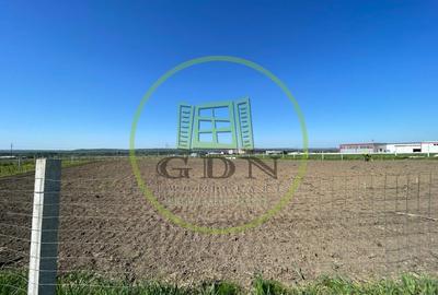 Teren intravilan agricol 6215mp cu utilitati in Racari, jud. Dolj - 4