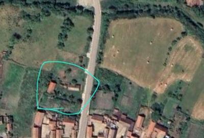 Casă cu 2 camere în Armeni - 4
