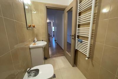 Apartament cu 3 camere decomandat, mobilat în Serele Vișoianu - 5