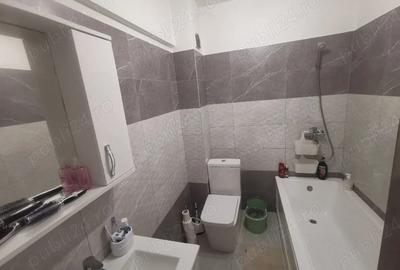 Garsonieră decomandată în Vișan - 3