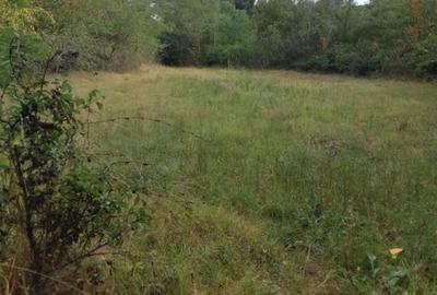 Casă cu 3 camere cu Teren 3400 Mp în Podu Turcului - 8