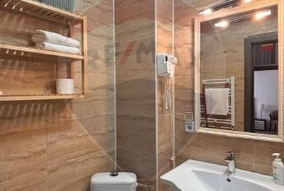Apartament cu 2 camere semidecomandat, mobilat în Central - 15