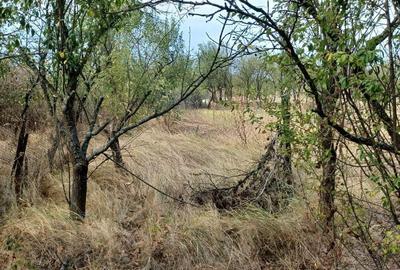 Casă cu 2 camere cu Teren 3100 Mp în Diculești - 18