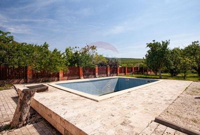 Casa cu 2 corpuri, piscina si 3.235 mp teren in Ghioroc - 8