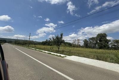 Teren de 1000 mp, în Lipovăț - 1