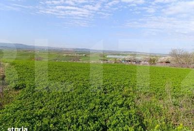 Teren de 10189 mp, în Curtești - 1