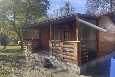 Casute Breaza, teren 1140 mp Casute Breaza, teren 1140 mp - 15