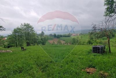 Teren Construcții intravilan de 5862 mp, în Bratca - 2