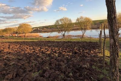 Spațiu comercial, în Valter Mărăcineanu - 6