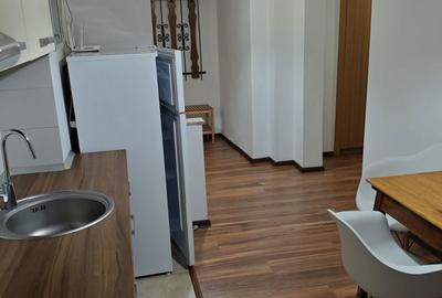 Apartament cu 3 camere decomandat în Paltiniș - 4