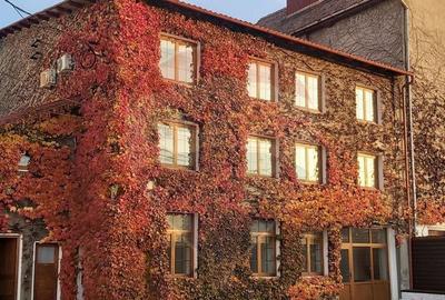 Spațiu comercial, de 412 mp, în Mediaș - 3