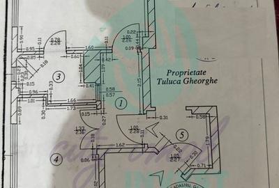 Liniște și intimitate în inima cartierului Kiseleff - 4