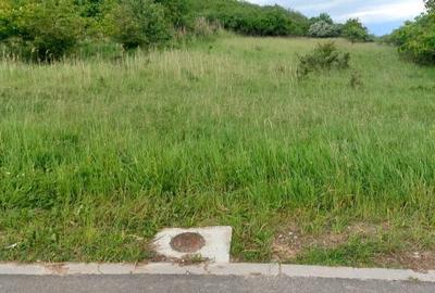 Teren Construcții intravilan de 6500 mp, în Gușterița - 5