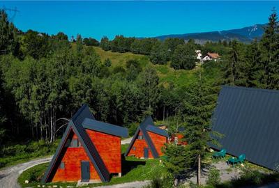 A Frame cu vedere la Piatra Craiului Moieciu, Brasov - 8