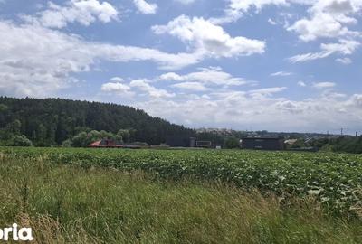 Teren de 5000 mp, în Șcheia - 1