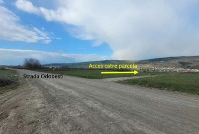 Spațiu comercial, în Central - 4