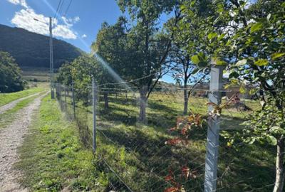 Teren intravilan 500mp Saratel - 4