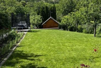 Casă individuală cu 4 camere cu Teren 500 Mp în Sadu - 6