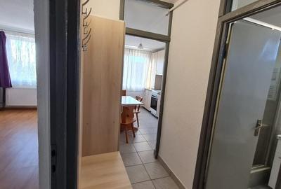 Garsonieră decomandată în Turnișor - 6