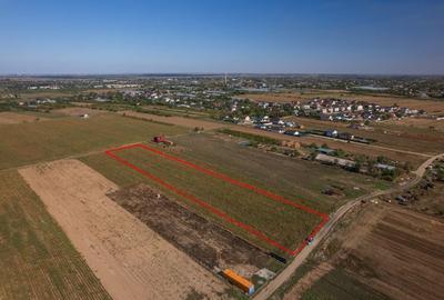 Teren Construcții intravilan de 6525 mp, în Adunații-Copăceni - 9