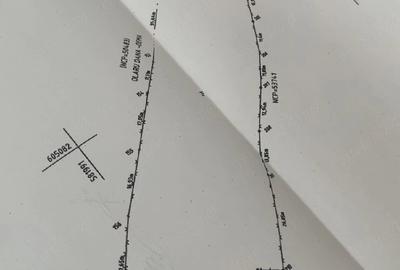 Casă cu Teren 4835 Mp în Central