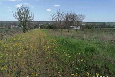 Teren de 2 mp, în Valea Mărului - 2