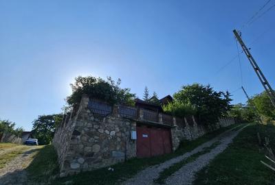 Vila superba de vanzare in Vintila Voda, Buzau D+P+1 si anexe - 13