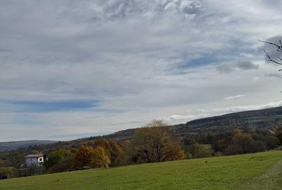 Teren de 8434 mp, în Corușu - 5