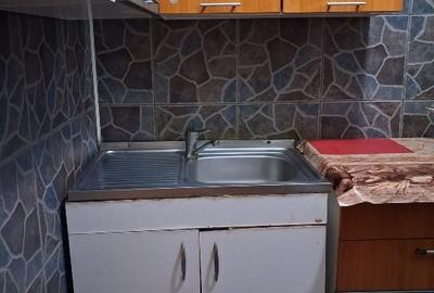 Garsoniera de vânzare in Brazda la G-uri/parter - 5