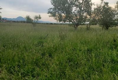 Teren Construcții intravilan de 10500 mp, în Exterior Nord - 3