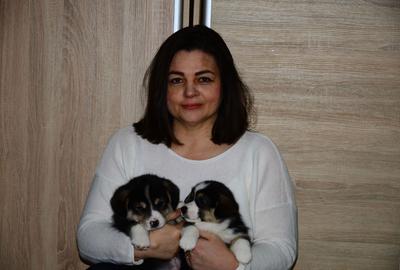 Casă cu 3 camere în Militari