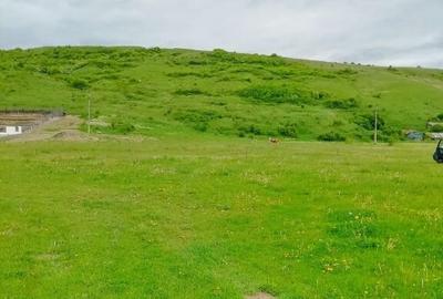 Teren intravilan P.Neamt - 3