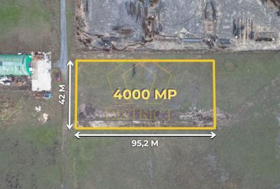 Teren Construcții intravilan de 4000 mp, în Săcălaz - 1