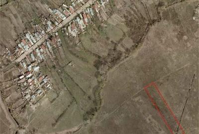 Teren 5000 mp intravilan sector 6 giulesti - 4