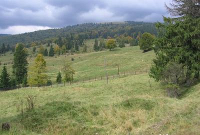 Teren de 1634 mp, în Valea Râșnoavei - 2