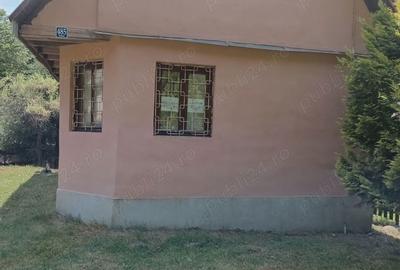 Casă cu 2 camere în Pietroasa - 1