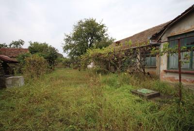 Teren Construcții intravilan de 1900 mp, în Dumbrăvița - 8