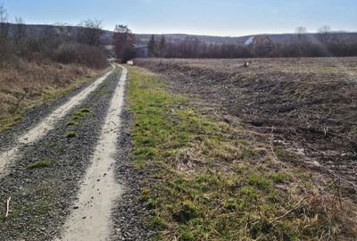 Spațiu comercial, în Păulești - 2