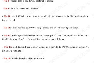 Spațiu comercial, în Căciulata - 5